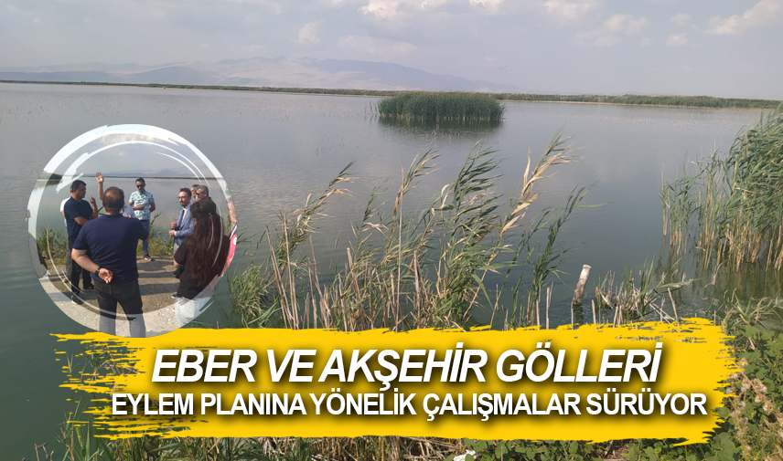 Eber ve Akşehir Gölleri eylem planına yönelik çalışmalar sürüyor